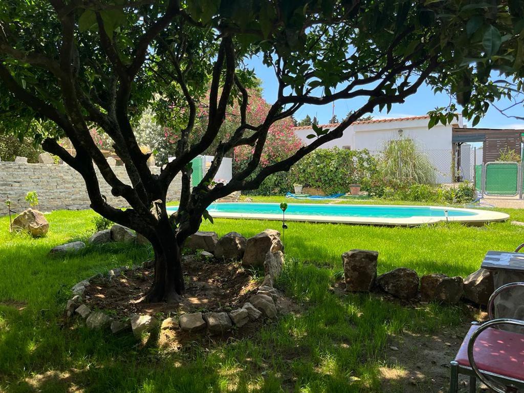 Casa rural con piscina en Conil de la Frontera - Casa Oeste - 4