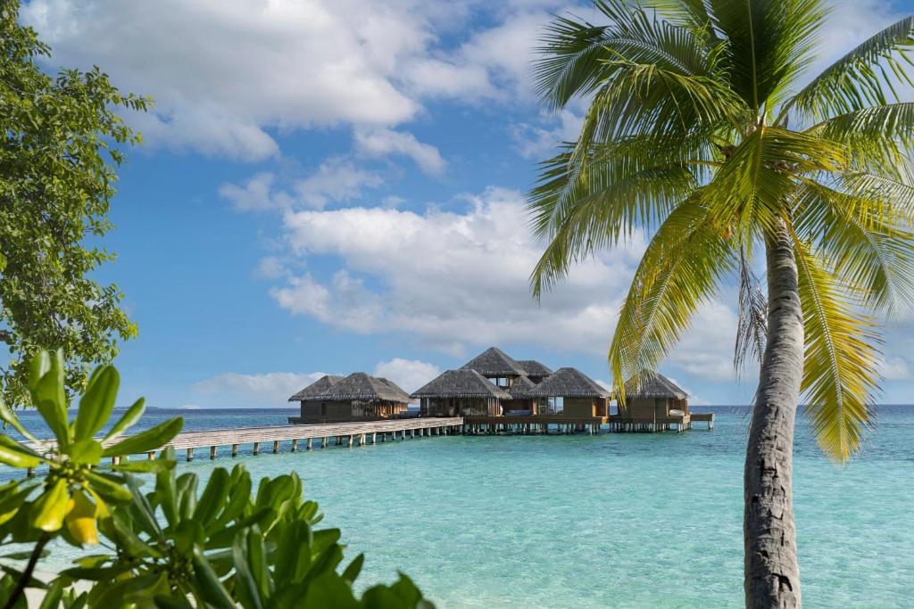 wellnessfaciliteiten