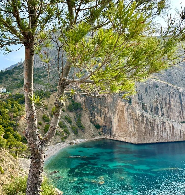 Can Luc Altea, Altea