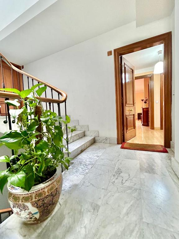 Vivienda Rectorado 2 - 1