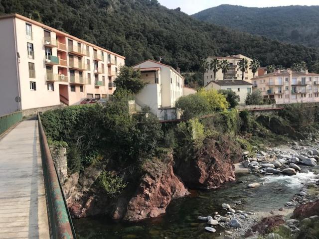 T3 pont romain Amelie les bains - 2
