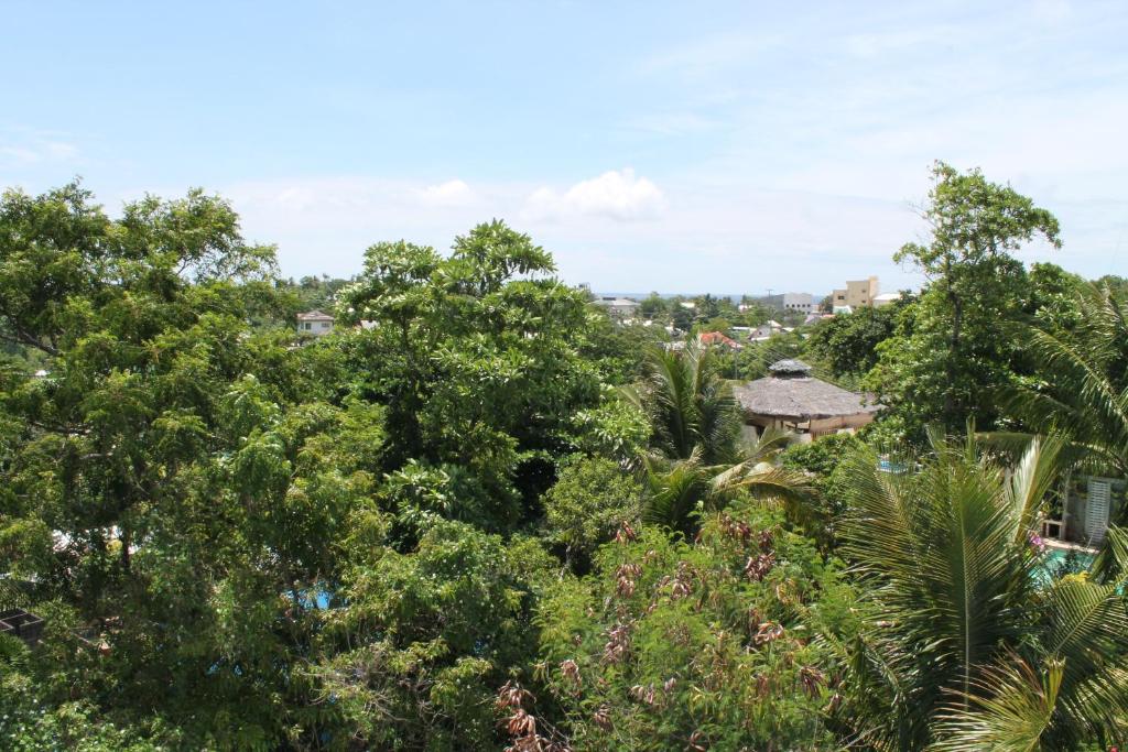 Surrounding environment