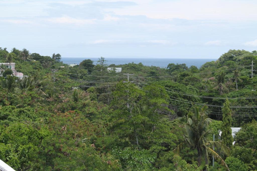 Surrounding environment