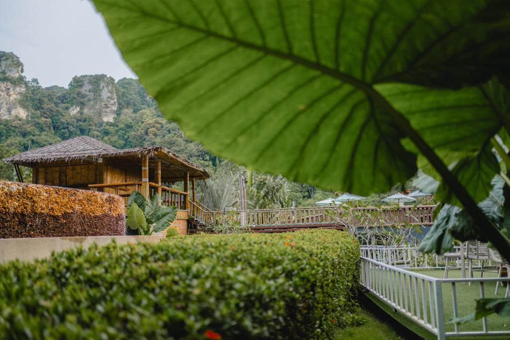 Surrounding environment