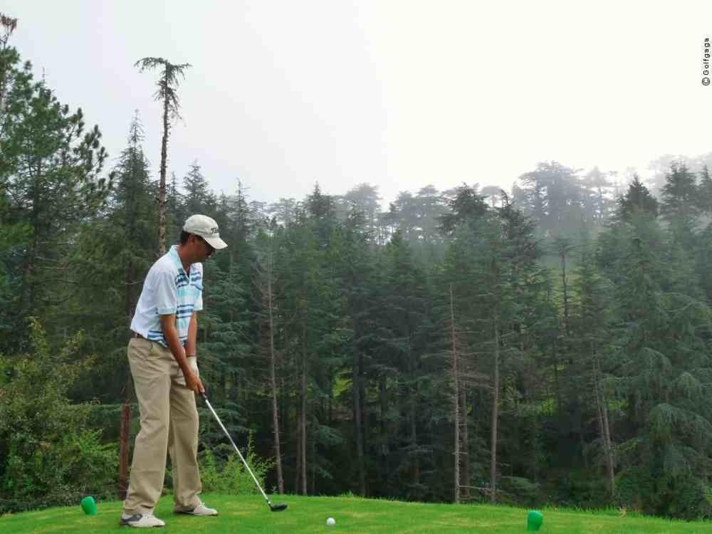 Golf course [on-site], Woodstock Resort Naldehra in Shimla