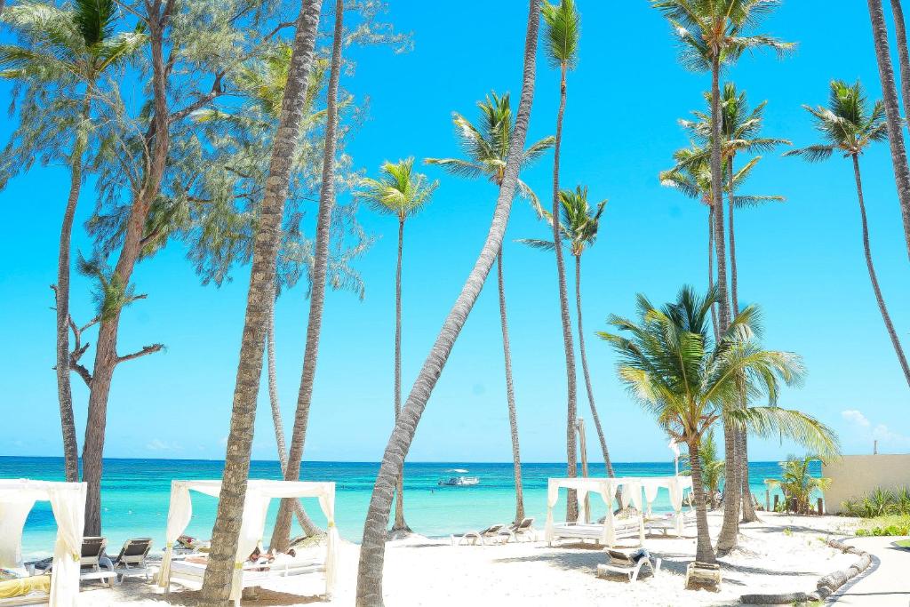 Vista Sol Punta Cana Beach Resort & Spa - All Inclusive — Beach in Bavaro, La Altagracia