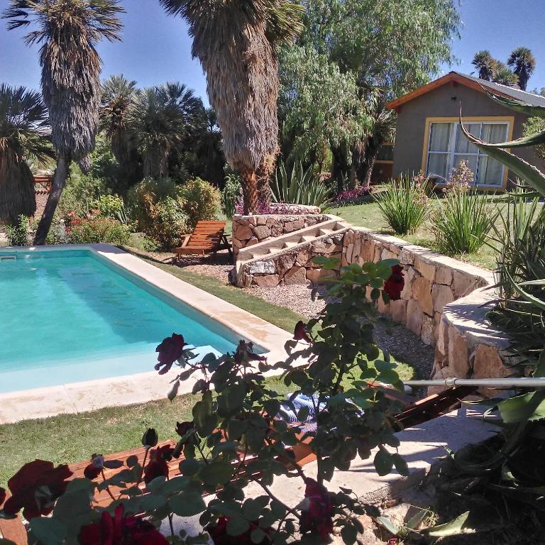 Palmares al cerro - 2