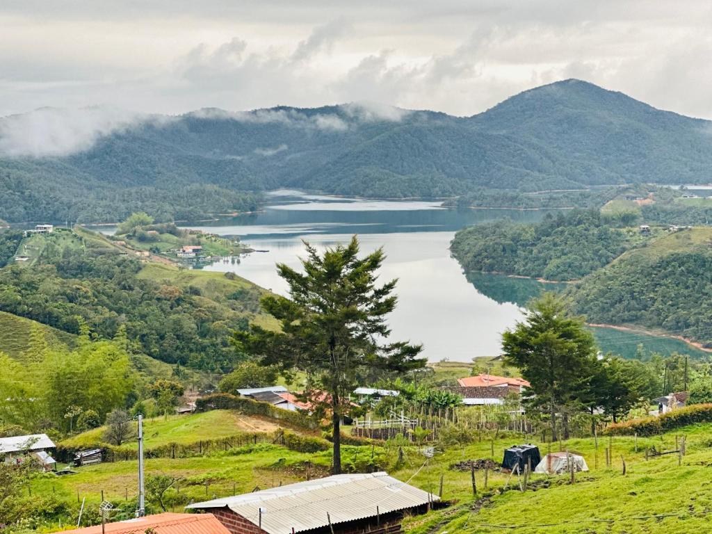 Glamping Samadhi - el Peñol - 4