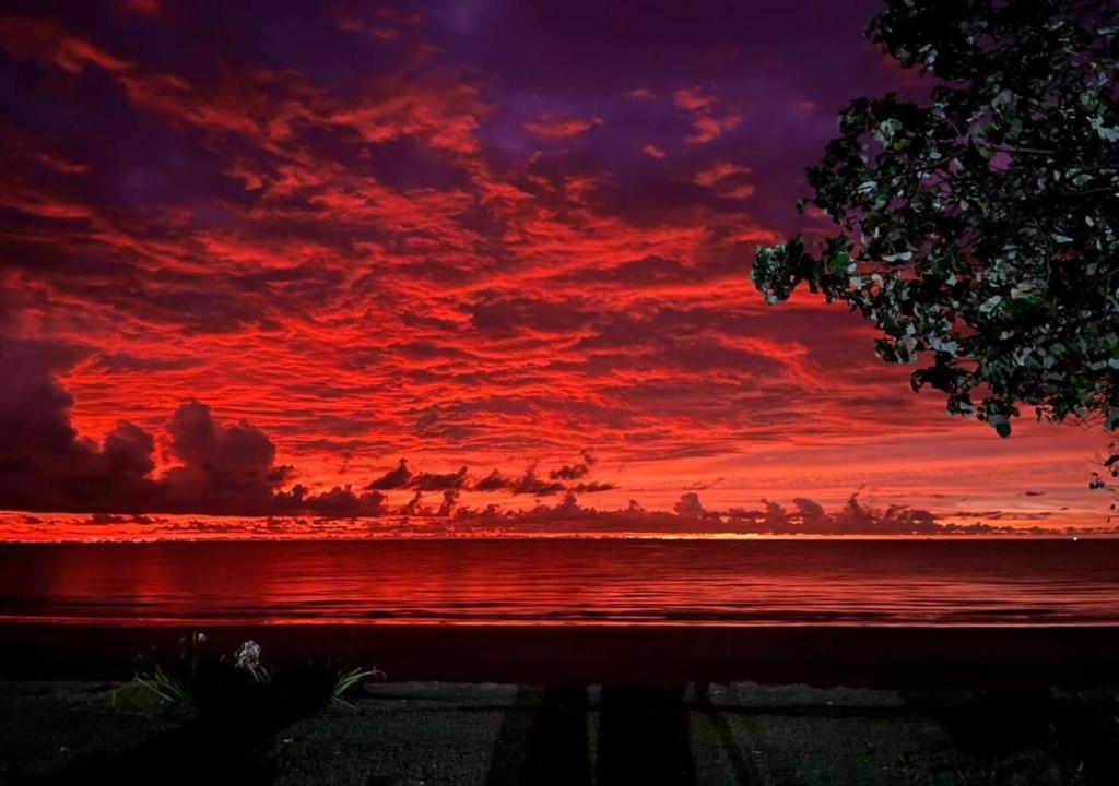 Surrounding environment