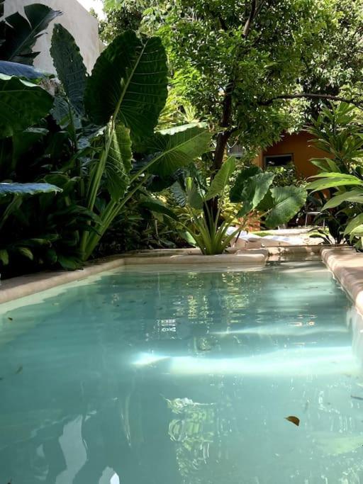 Hermosa Casa Antigua con Piscina Tropical - 1