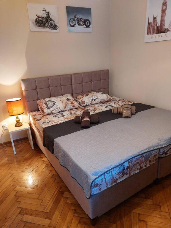Vuk apartman garsonjera - 2