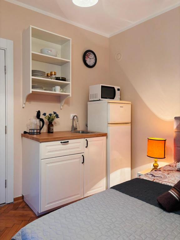 Vuk apartman garsonjera - 4