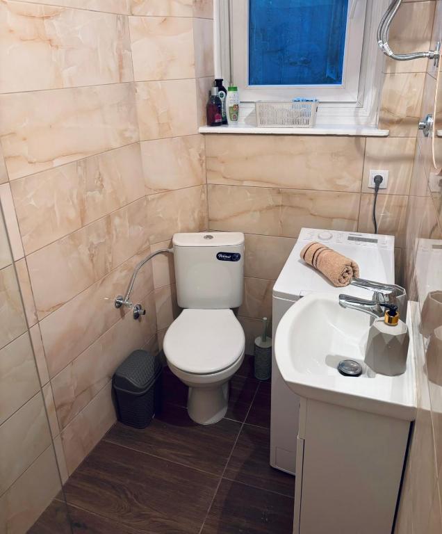 Vuk apartman garsonjera - 5
