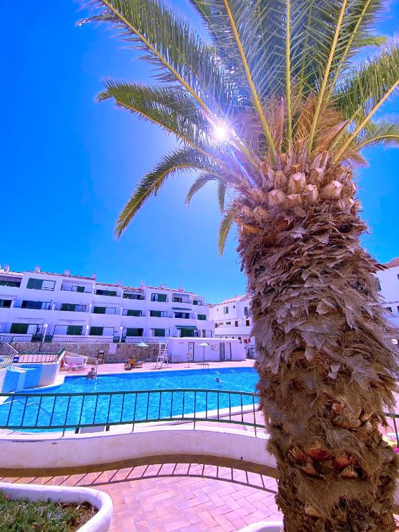 Tropicalidays Sunset Palm - 3