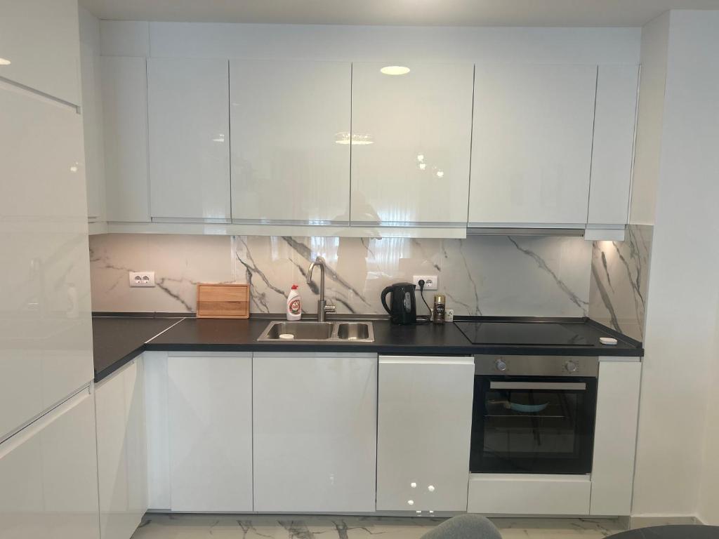 Luxurious 2 bed apt, Belgrade center - 3