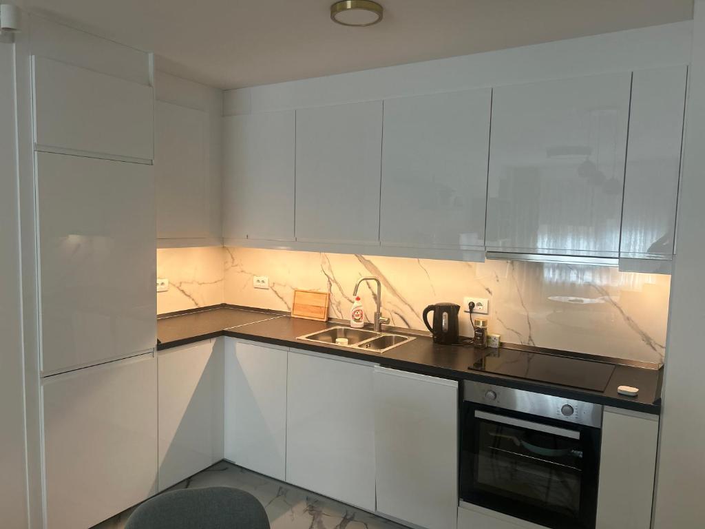 Luxurious 2 bed apt, Belgrade center - 4