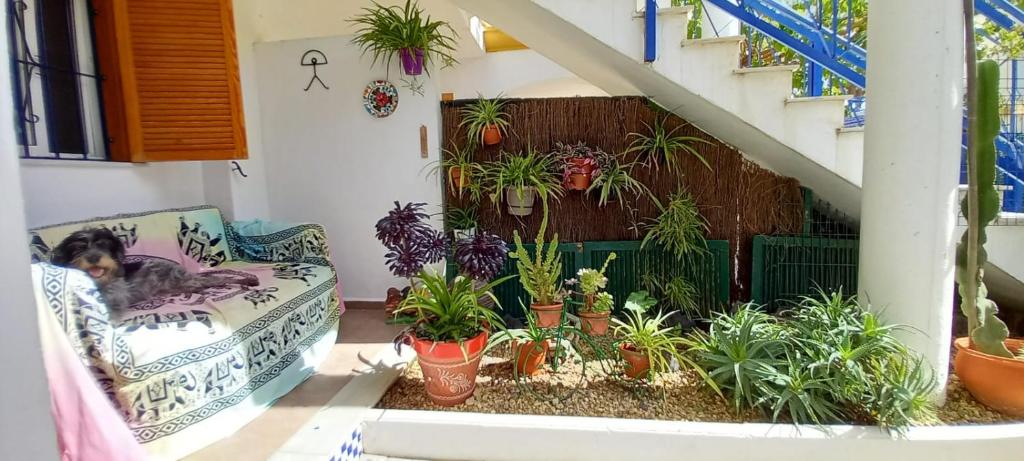 Casa Chiki - 3