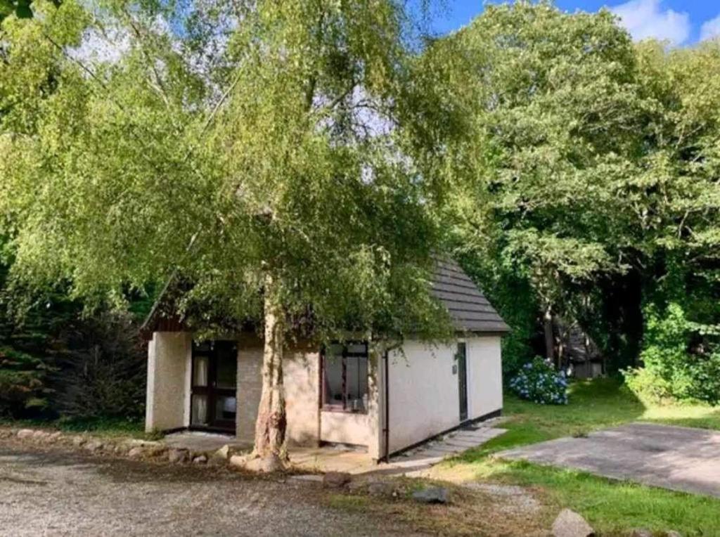 St Ives Bluebell Cottage photo 7