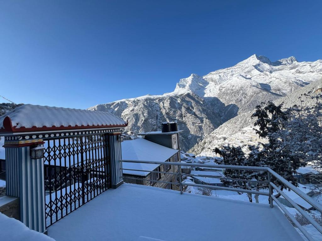 4. Namche T..