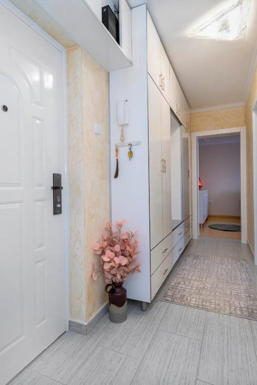 Apartman Pannonia, Osijek