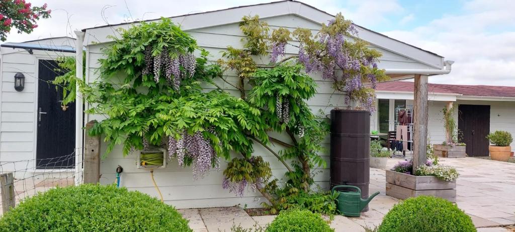 Garden Cottage, Headcorn photo 4