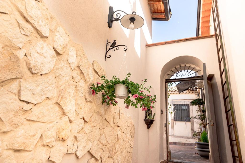 MonteVergine Domus, Katánie