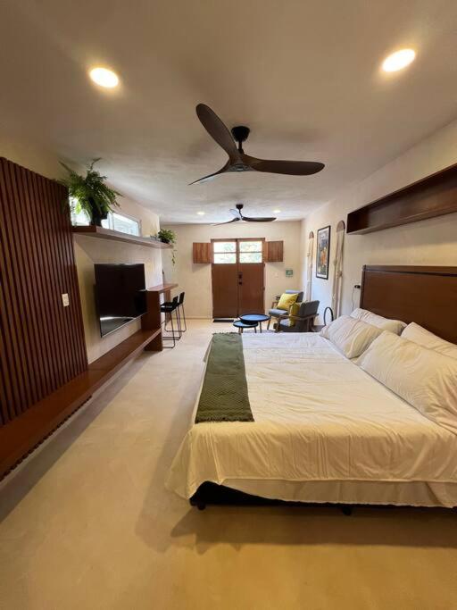 Luxury Boutique Studio - 2