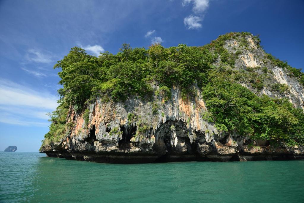 Surrounding environment