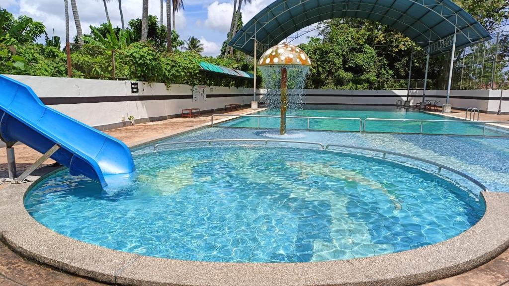 Swimming pool, C Hotel in Alor Setar