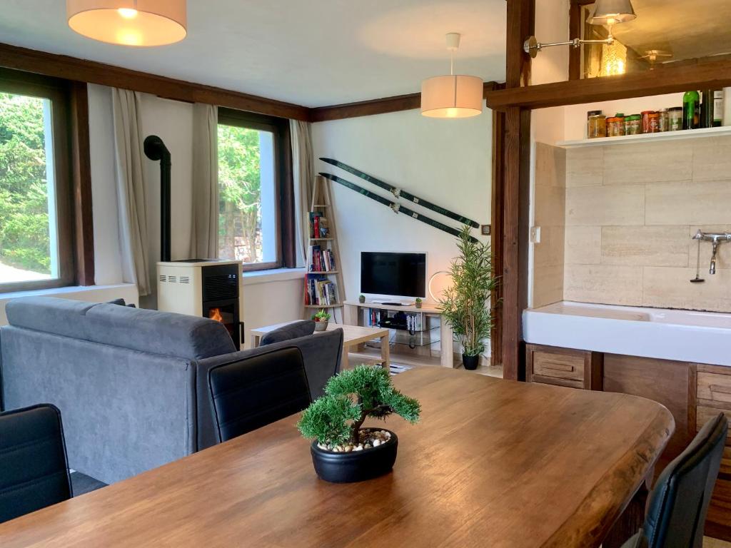 Chalet la Pagode, vue Mont-Blanc et jardin privé - 3