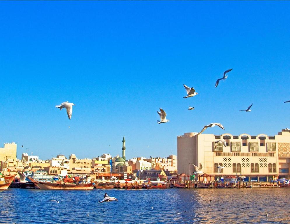 周辺観光スポット