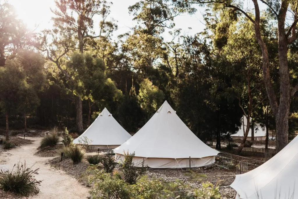 Bay of Fires Bush Retreat，位于比那隆湾的酒店