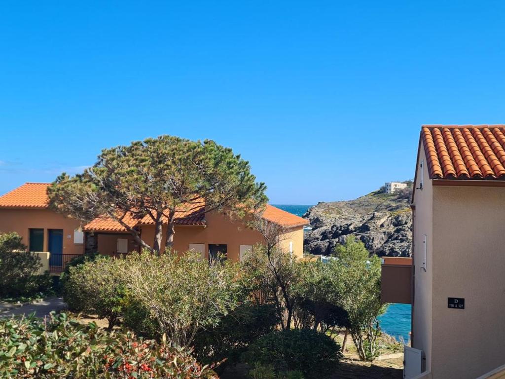 Joli T2 à Collioure, accès direct plage, climatisation, parking privé - FR-1-309-433 - 3
