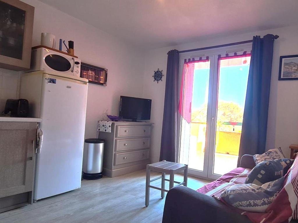 Joli T2 à Collioure, accès direct plage, climatisation, parking privé - FR-1-309-433 - 4