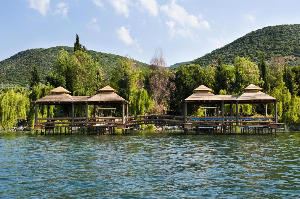 Iznik Askania photo