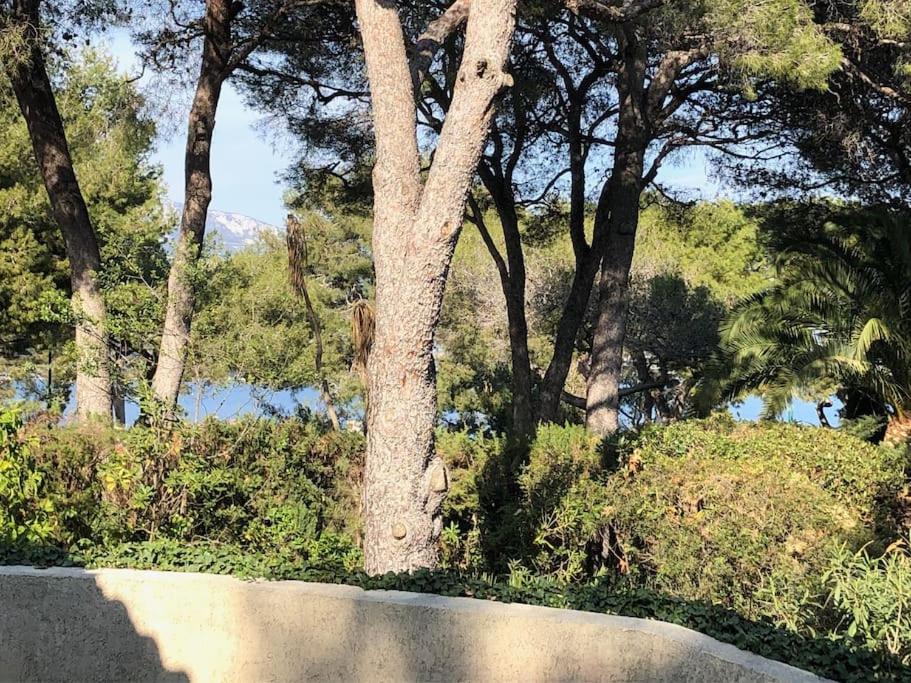 Villa de Charme au coeur du Cap-Ferrat - 4