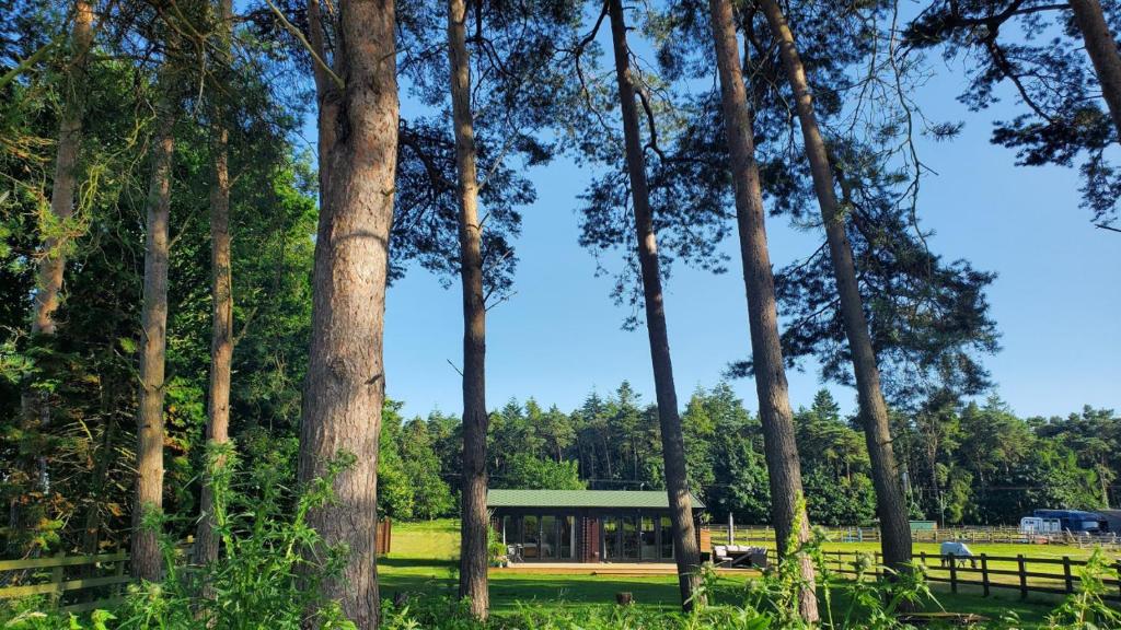 The Retreat 1 bed cabin in the woods, Aylsham