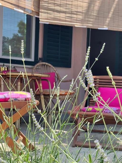 Apartman Sage, 2+1. Maslenica, Zadar, Maslenica