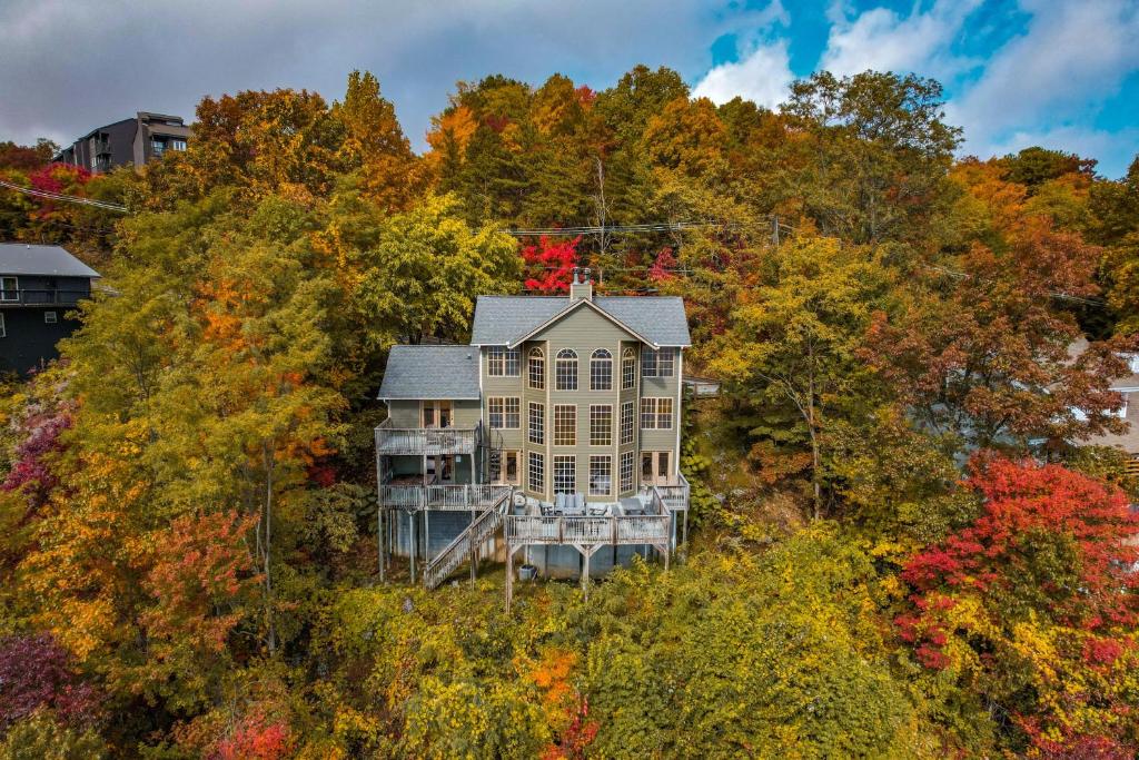 Bears on Skis, Gatlinburg
