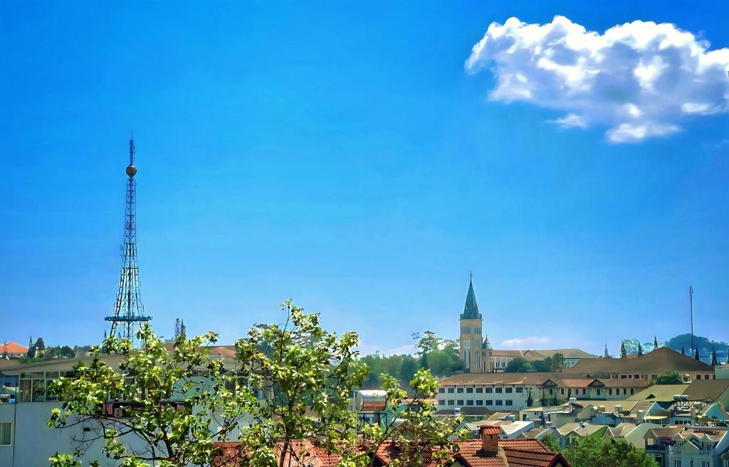 周辺観光スポット