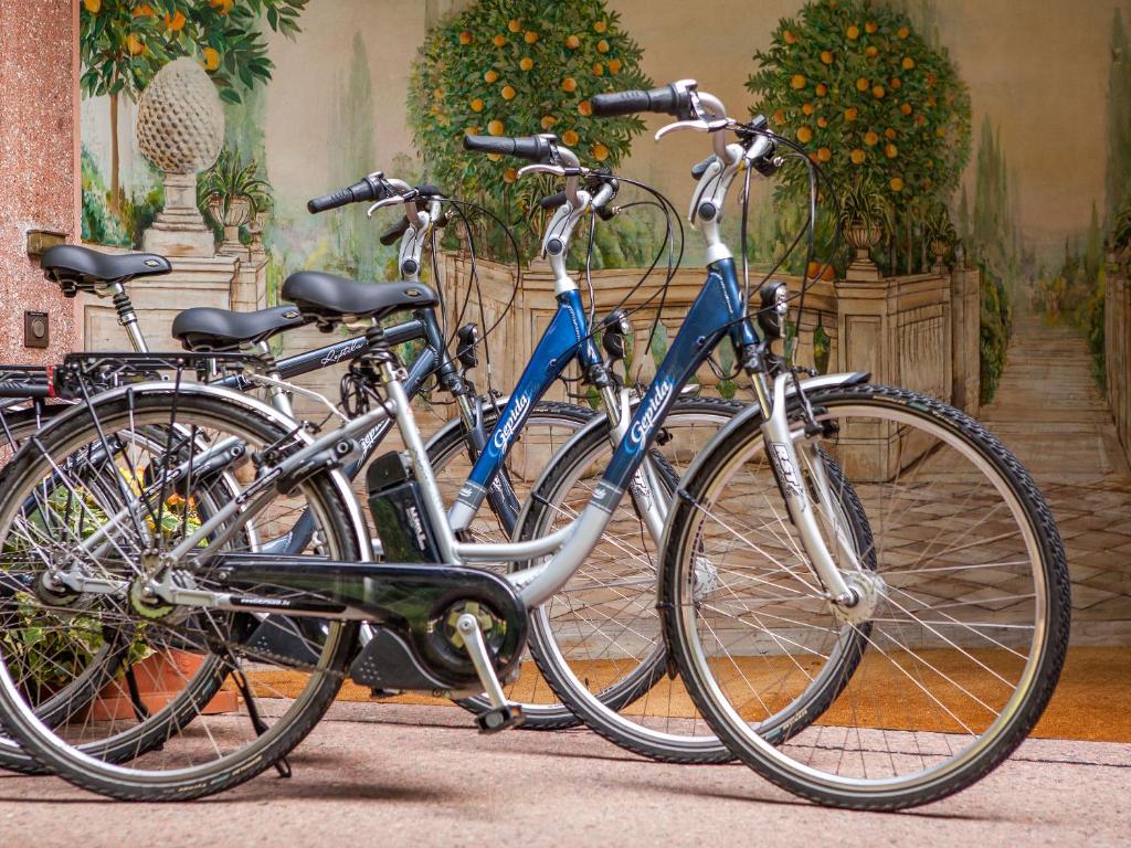 スポーツ/アクティビティ