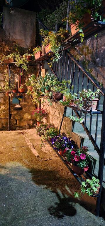 Apartman Pontica - 4