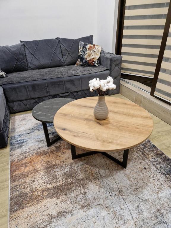 Aerris 3 Family Zlatibor - 3