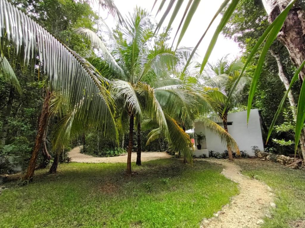 Villa Ixchel private pool - 5