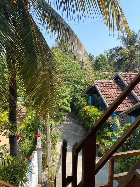 Surrounding environment