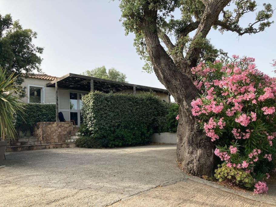 Maison avec jardin et parking privé à 300m du centre ville de porto -vecchio - 4