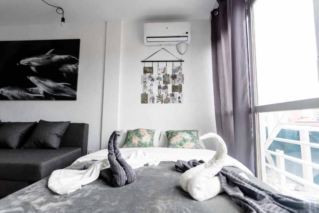 Great panoramic view studio apartment, Benidorm