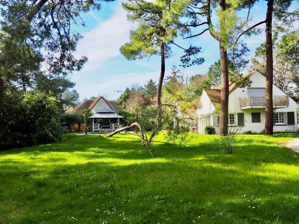 Villa avec piscine au coeur de la forêt - 3