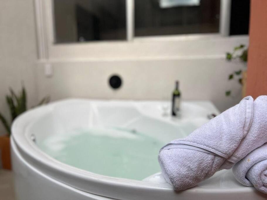 Apto BBC With Jacuzzi In Heart Of Provenza - 5