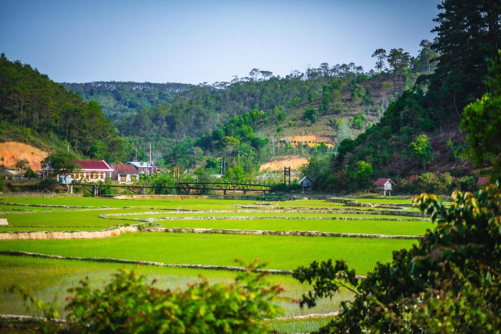 Nhà Trong Bản – Homestay Măng Đen